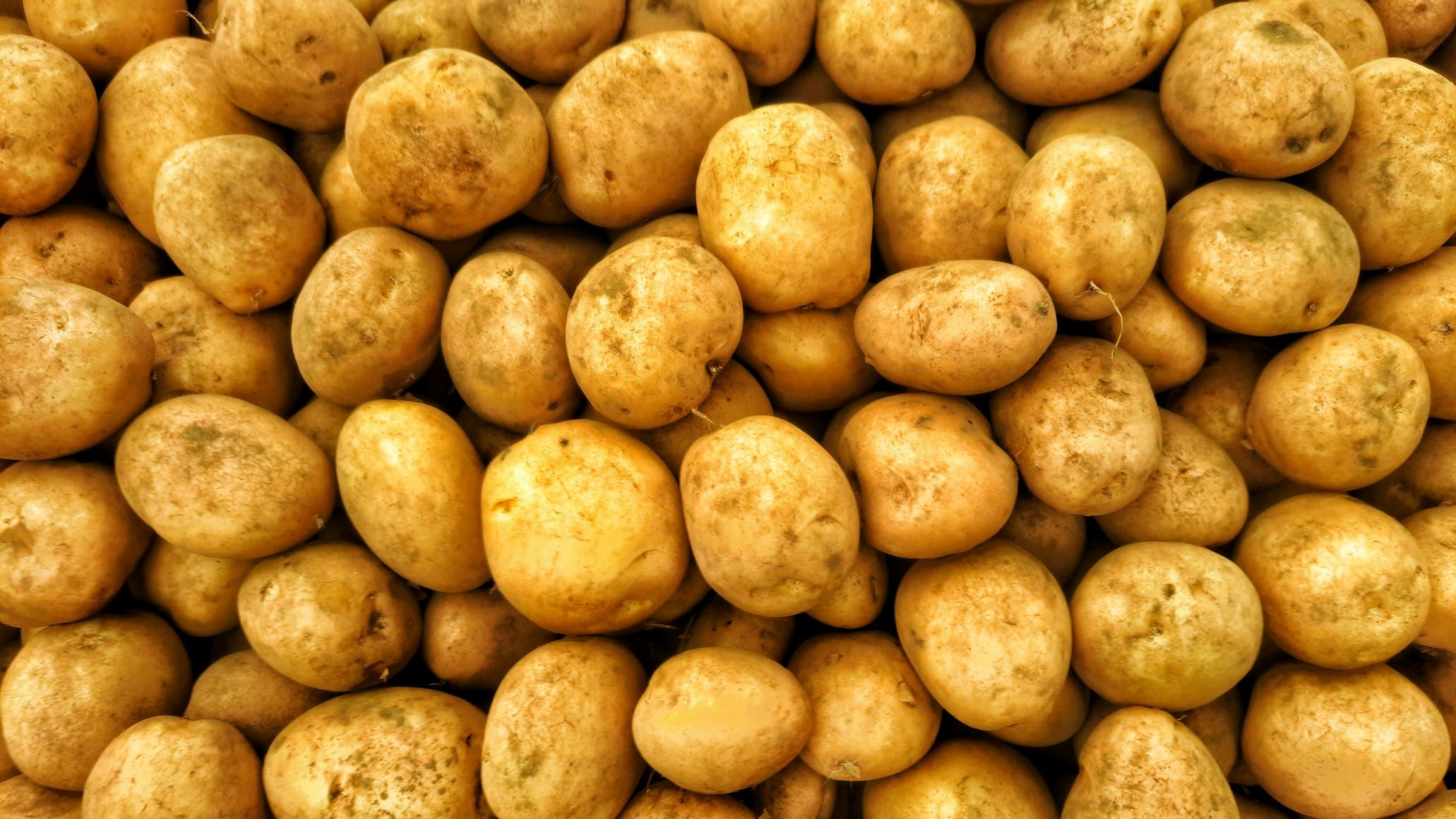 Here is a draft post